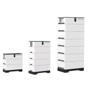 BOITIER DE CONTROLE BATTERIE BMS MYRTILLO V2 ECACTUS BOITIER DE CONTROLE BATTERIE BMS MYRTILLO V2 ECACTUS